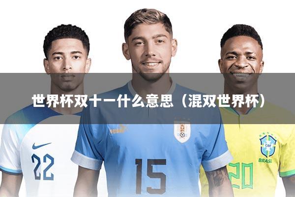 世界杯双十一什么意思（混双世界杯）